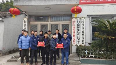 文章附图